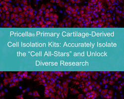 Pricella® Primary Cartilage-Derived Cell Isolation Kits: Accurately Isolate the “Cell All-Stars” and Unlock Diverse Research - cover